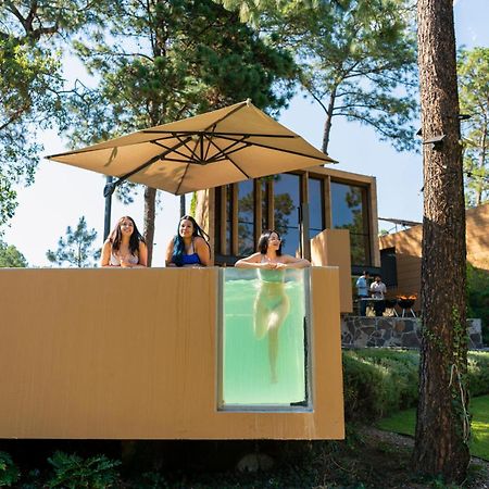 Cabana Lujo Con Alberca Climatizada Vistas Al Bosque De 马萨米特拉 外观 照片